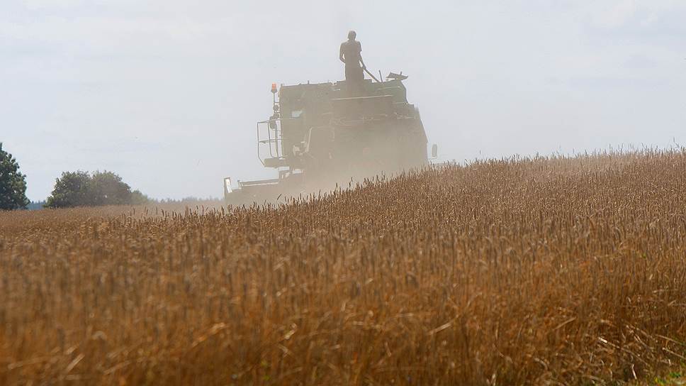 Новосибирские власти договорились с ОЗК об экспорте зерна на рынки стран Азиатско-Тихоокеанского региона