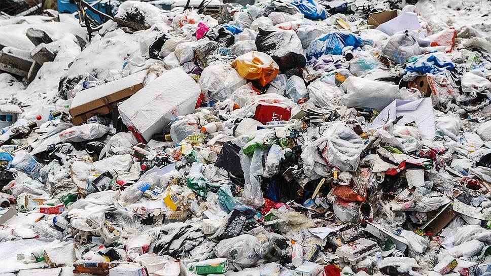 Как жители Коломны борются против «московского» мусора