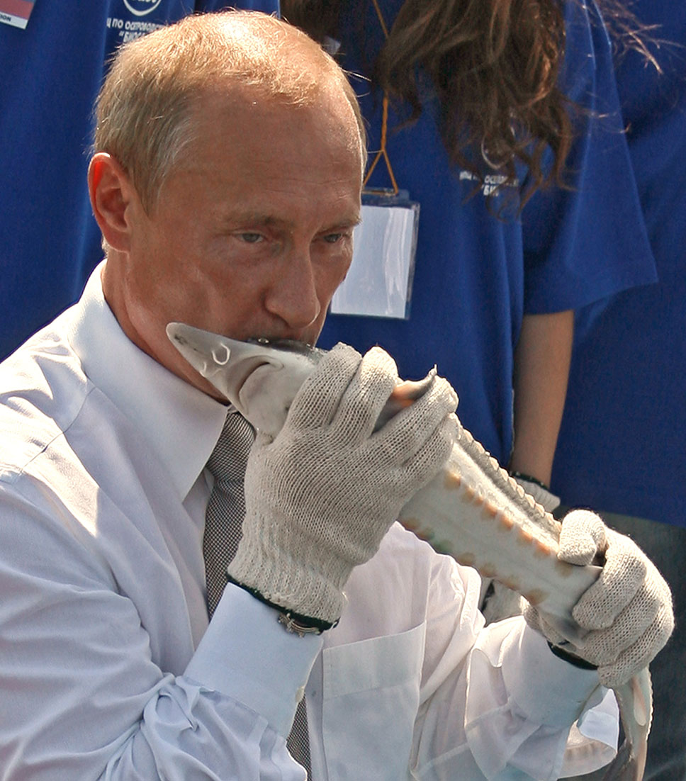 Путин целует осетра