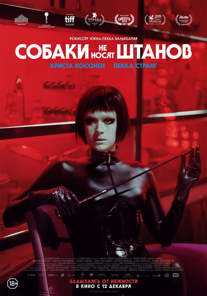 Собаки не носят штанов (Koirat eivät käytä housuja, 2019)