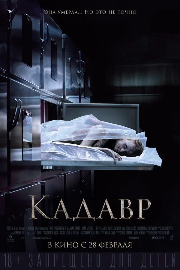 Кадавр (The Possession of Hannah Grace, 2018)