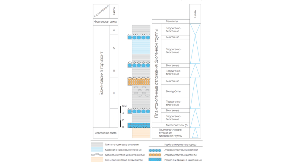 Принципиальное строение разреза Баженовской свиты