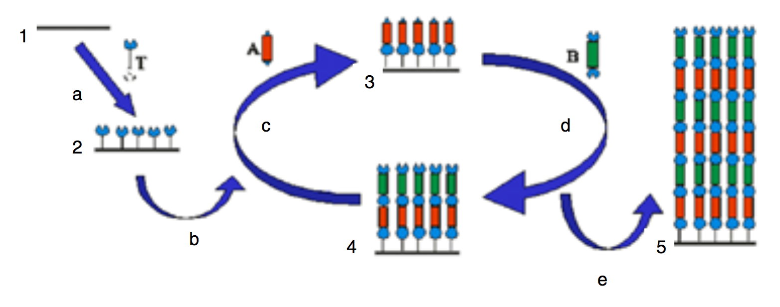 Молекулярная слоистая эпитаксия (от греческих "эпи-" — над и "таксис" — расположение). Способ организации структур, когда структура верхнего слоя управляется структурой и химическим составом предыдущего слоя. На рисунке показана схема эпитаксии. Сначала на субстрат 1 (слева вверху) устанавливается "якорный слой" (стрелка "a"), образуется структура 2. Далее на 2 наносится слой молекул А (стрелка "b"), образуется структура 3 с двумя собранными слоями. Далее наносится слой молекул B (стрелка "d"), образуется структура 4. Таким образом можно собрать структуру необходимой толщины с чередующимися слоями (стрелка "e") — образуется сверхструктура 5. Существенно, что слой A приспособлен к принятию слоя B, и наоборот, невозможно собрать более одного слоя только A или только B 
