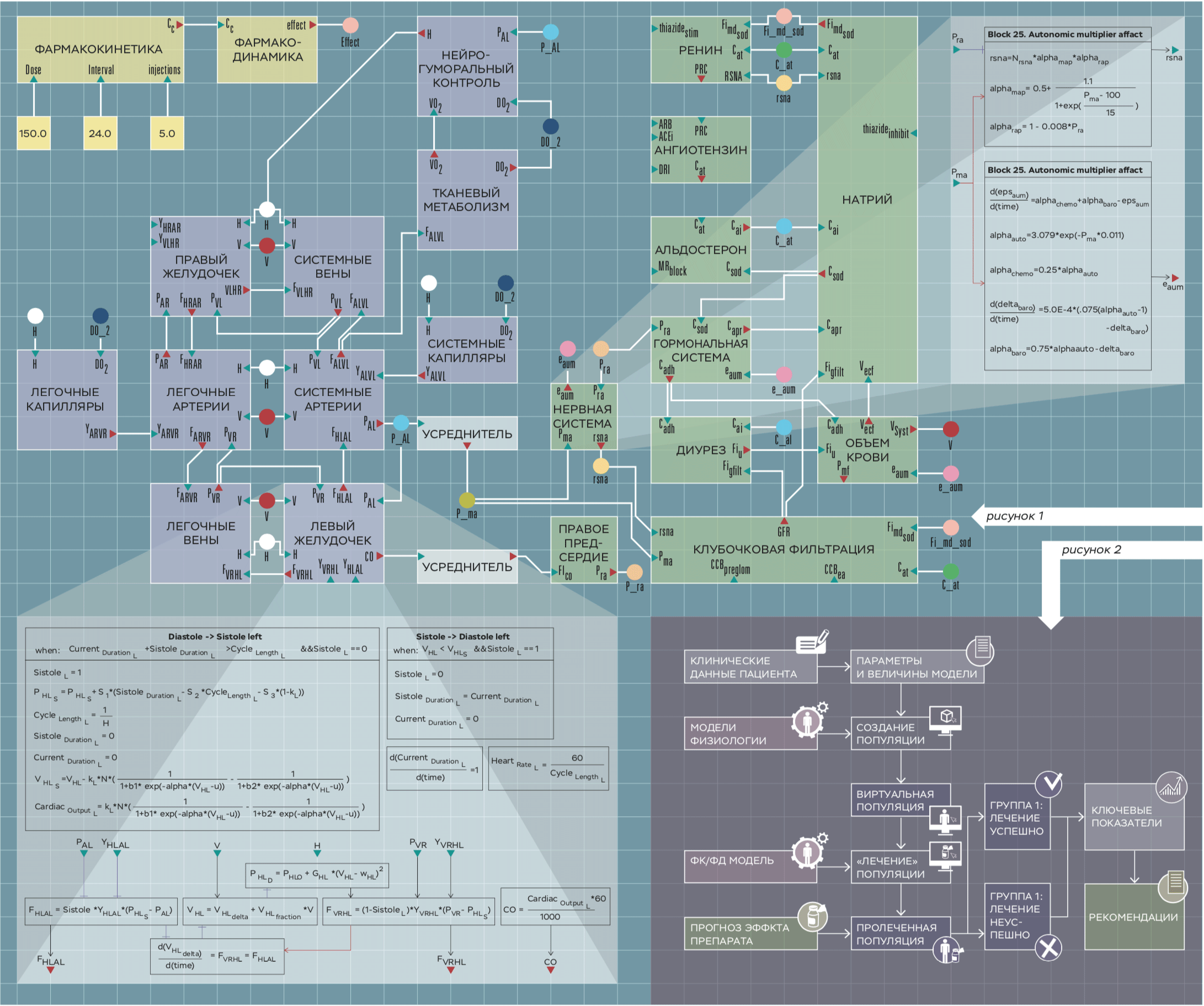 Диаграмма модели регуляции артериального давления у человека. Каждый блок содержит набор переменных и уравнений. Блоки соединены друг с другом, если у них есть общие переменные и параметры
