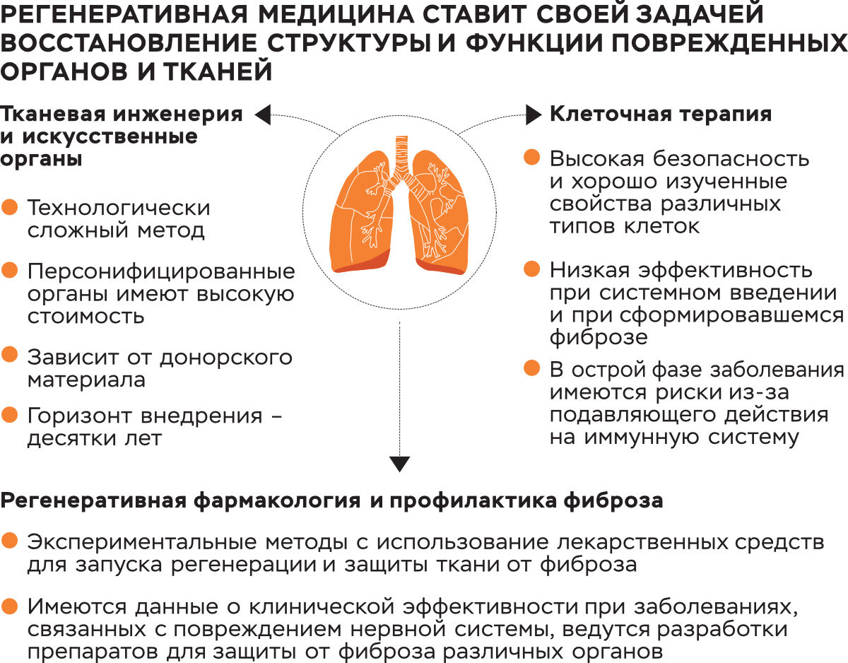 Пневмония у взрослых: симптомы, лечение, профилактика в домашних условиях