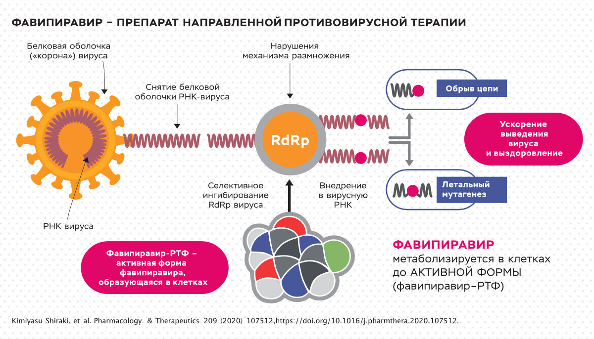 Возбудителем сovid 19 является вирус