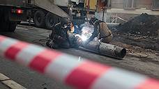 «Багира» пришла через три года