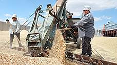 Зерно на сочинскую мельницу