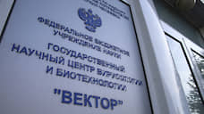 Взрыв прошел по «Вектору»