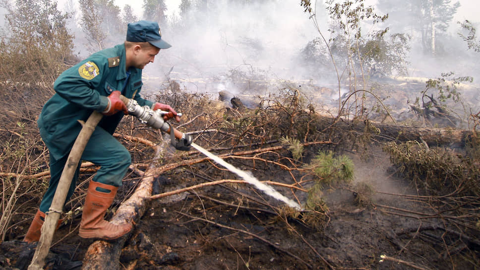 Крупный пожар на территории Искитимского лесничества уничтожил 90 га лесных культур