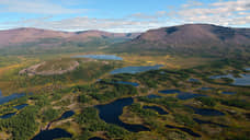 Земля дорожает под ногами