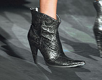 Roberto Cavalli