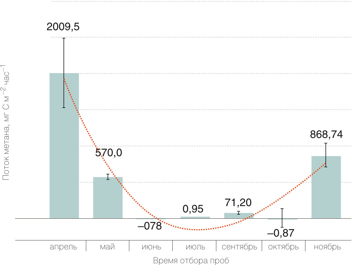 Сезонные изменения потоков метана на одном из участков полигона "Хметьево" 
