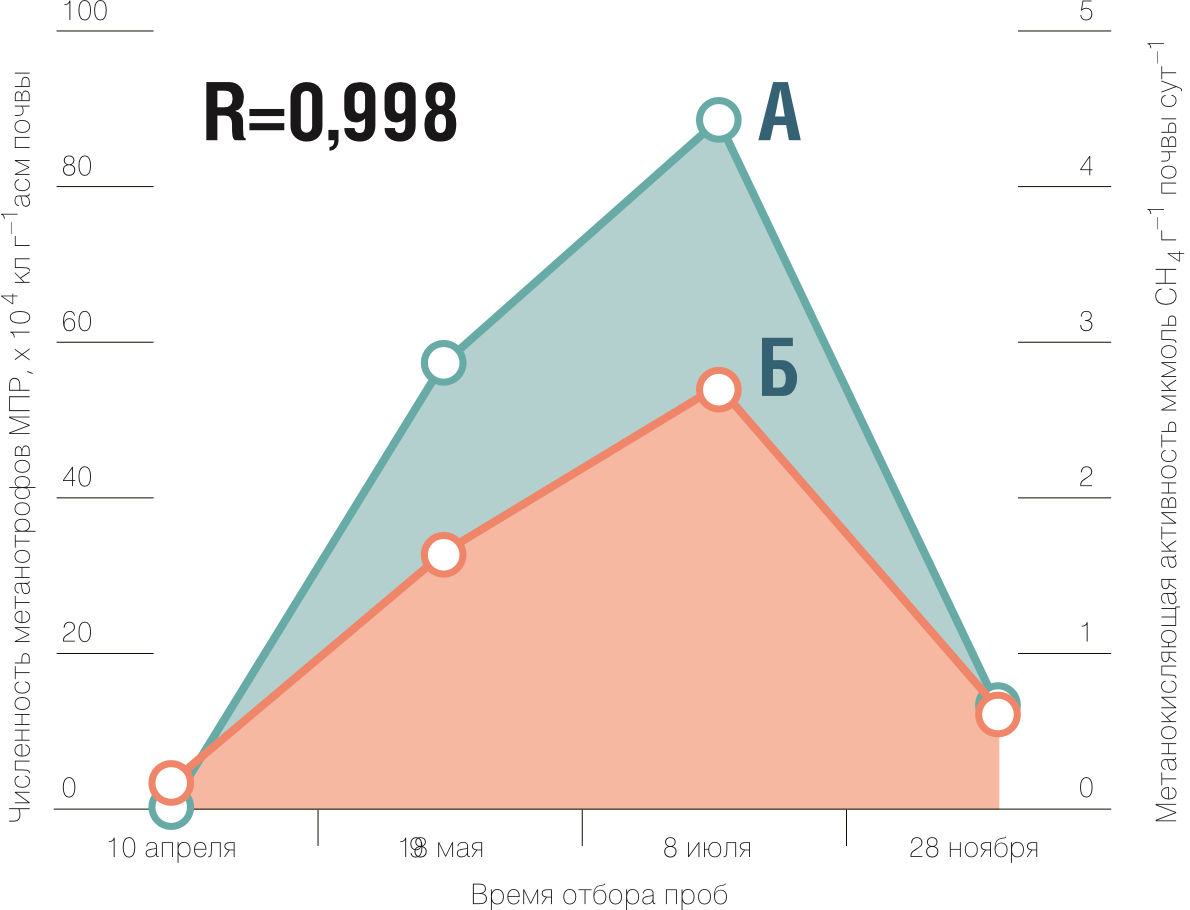 Корреляция между численностью культивируемых окисляющих метан бактерий (а) и метанокисляющей активностью покрывающей почвы (б) на том же участке полигона "Хметьево"