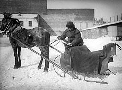Городские извозчики были не только самыми дешевыми, но и самыми читающими извозчиками в мире