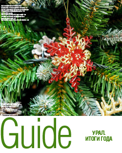 Guide Итоги года №238