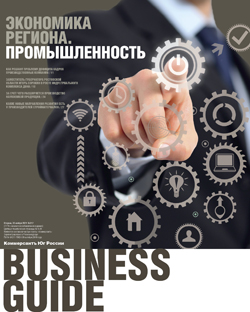 Business guide Экономика региона №217