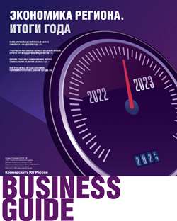 Business guide Экономика региона. Итоги года №239