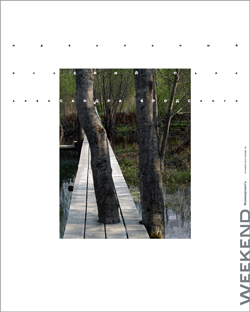 Weekend №19