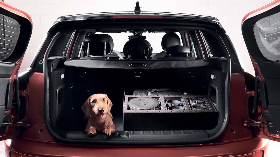 Просторный багажник нового MINI Clubman можно увеличить до 1250 литров и поместить туда не только коробку для собаки.
