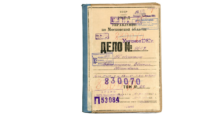 Дело Важинского