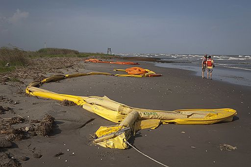 Ветеринары принимают участие в спасении животных, пострадавших от разлива нефти в Мексиканском заливе. Мощный взрыв на буровой установке унес жизни 11 нефтяников, потопил платформу и привел к неконтролируемому выбросу нефти в океан