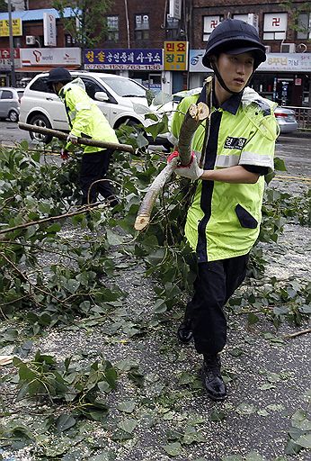 02.09.2010 В результате обрушившегося на Южную Корею тайфуна &quot;Компасу&quot; погибли два человека. Ветер, порывы которого достигали 30 метров в секунду, повалил деревья, оборвал линии электропередачи