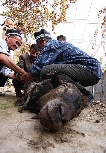 16.11.2010 Мусульмане отметили Курбан-байрам, день жертвоприношения. Молебны начались с раннего утра. Затем правоверные приступили к жертвенному обряду