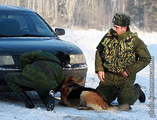 19.01.2011 Военнослужащие Южного военного округа провели под Ростовом учения, посвященные годовщине образования инженерных войск. Считается, что этот род войск появился 21 января 1701 года, когда Петр I подписал указ об образовании первой инженерной школы. Военные приняли участие в занятиях по боевой подготовке и инженерной разведке с использованием собак
