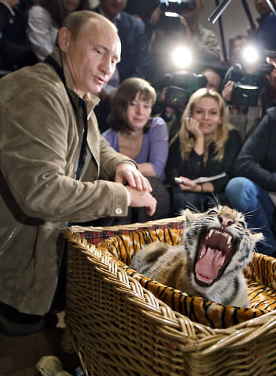 В 2008 году на день рождения господину Путину подарили уссурийского тигренка Машу. Некоторое время питомица жила в Ново-Огарево, а потом переехала в зоопарк в Геленджике. Она сменила несколько вольеров с подземными домами, бассейнами и видеокамерами. Сотрудники зоопарка называют ее «аристократкой» и «настоящей звездой»