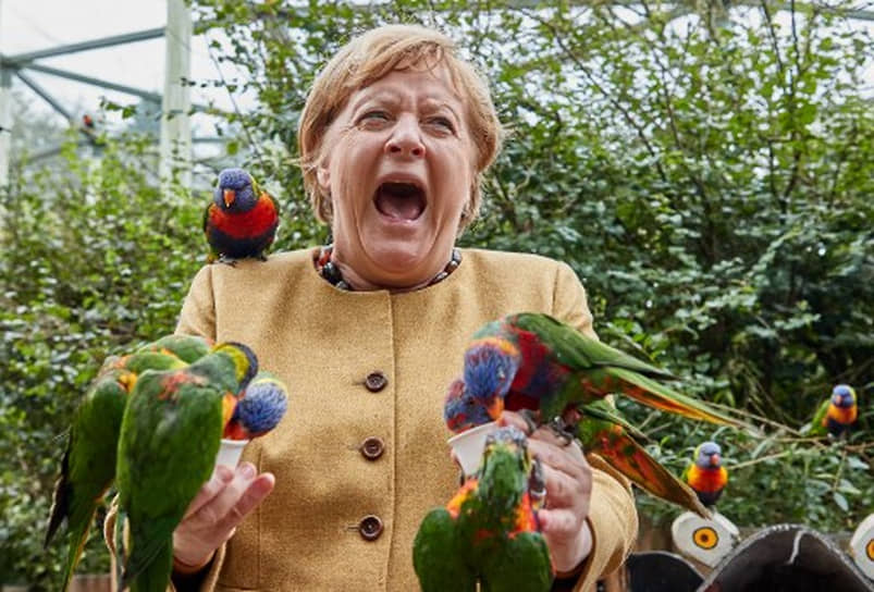 Ангела Меркель неоднократно заявляла, что после отставки не будет занимать политические посты. Она сообщала, что хочет написать автобиографическую книгу, в которой объяснит «основные политические решения своими словами и опираясь на собственный жизненный путь»