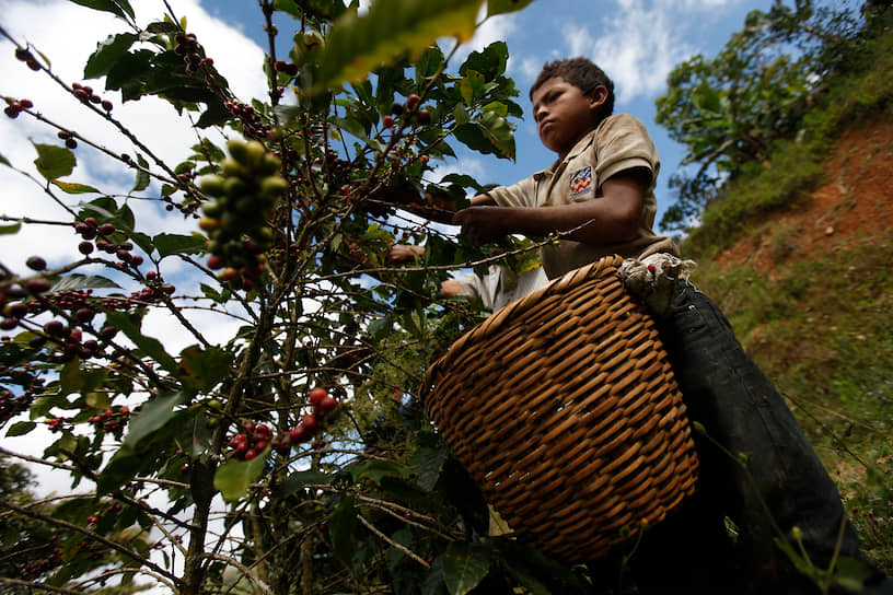 Более 70% от всех работающих детей заняты в сельском хозяйстве. Они трудятся на фермах и страдают от вредных последствий вдыхания пестицидов и других химических веществ