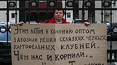 Надежда Толоконникова прекратила голодовку в колонии