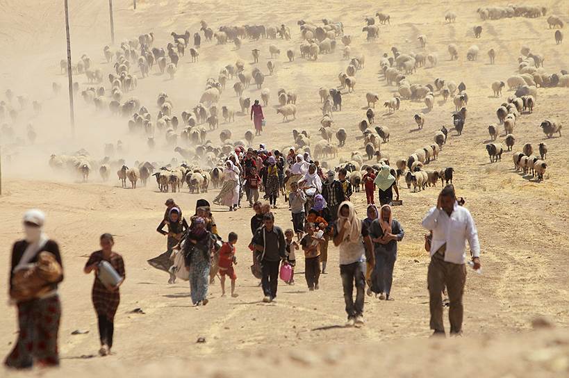 29 августа 2014 года в Управлении Верховного комиссара ООН по делам беженцев (УВКБ) объявили, что в соседних с Сирией странах зарегистрировано 3 млн. беженцев
