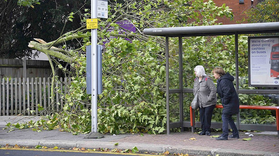 В Великобритании высока вероятность наводнения. Многие деревья оказались выдраны, более 40 тыс. жителей остались без электричества