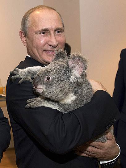Президент России Владимир Путин на саммите G20, 2014 год