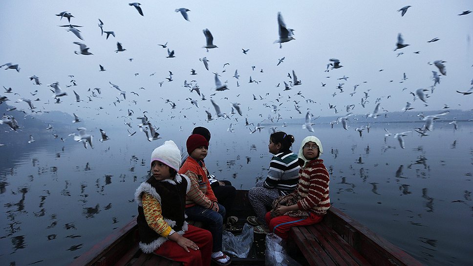 Миграция птиц в Дели, Индия
