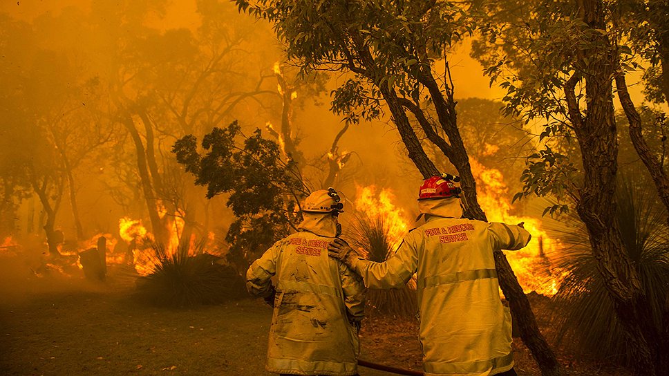 Лесной пожар в пригороде Перта, Австралия