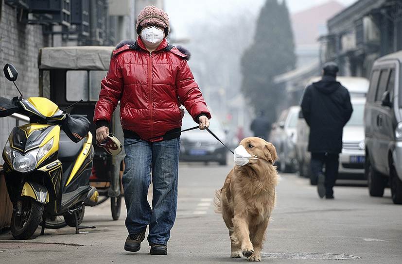 Местный житель со своей собакой в респираторных масках в Пекине, страдающем от сильного смога