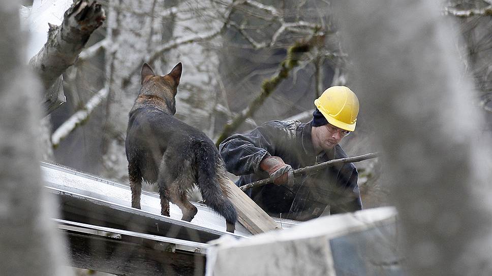 Спасатель и поисковая собака ищут младенца, пропавшего во время схода оползня в Осо, штат Вашингтон