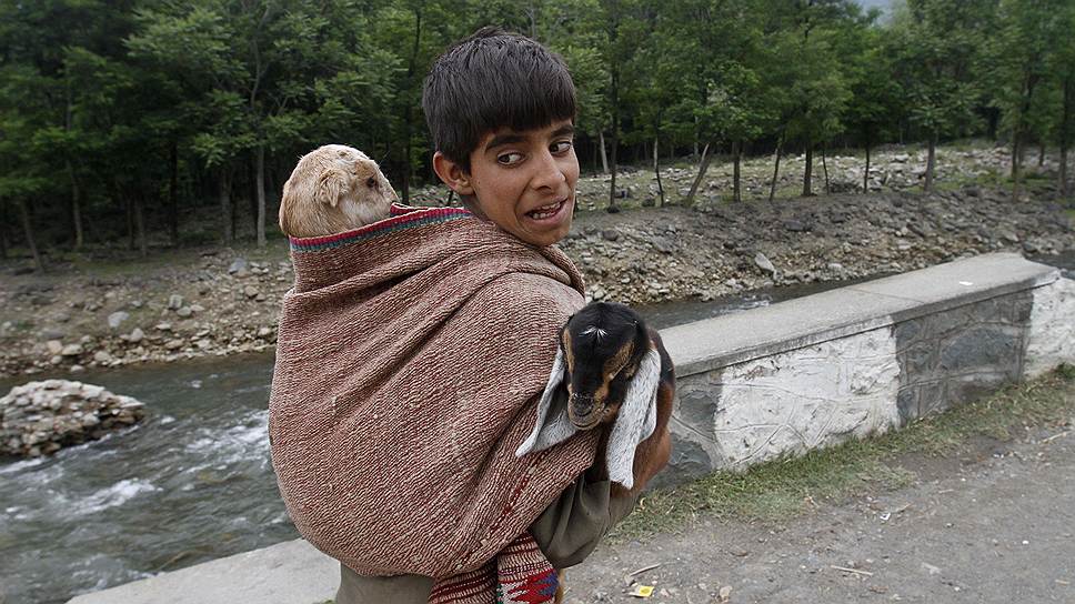 Маленькие кочевники-бакарвалы практически лишены детства, поскольку перед ними стоит задача заботится о животных и помогать родителям
