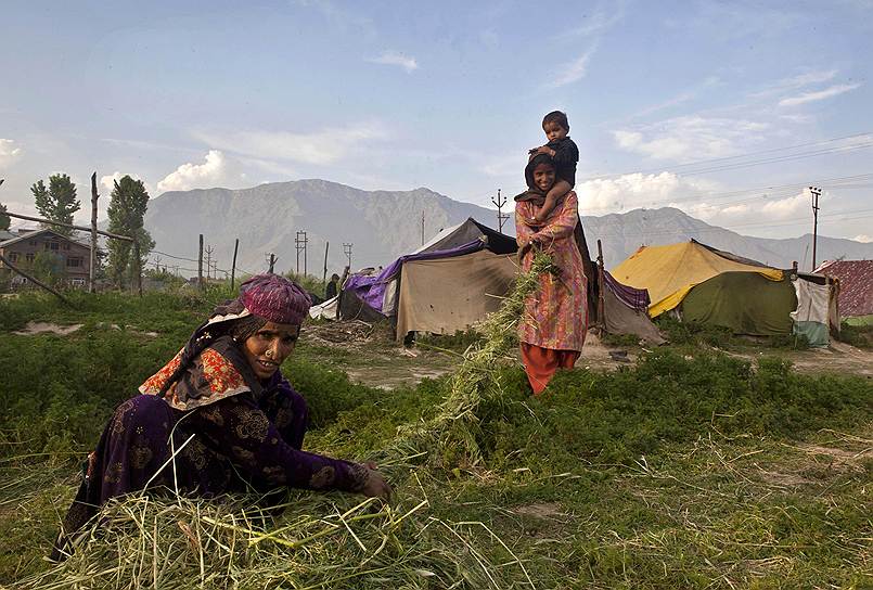 Согласно официальной статистике, на территории индийского штата Джамму и Кашмир насчитывается порядка 2,5 млн бакарвалов и гуджаров. Из них около 500 тыс. — кочевники