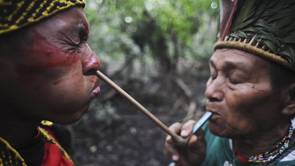 Индейские племена хуни куи, ашанинка и мадижа — крупнейшие группы коренного населения Южной Америки, которые проживают на северо-западе Бразилии (в штате Акри), а также на территории Перу