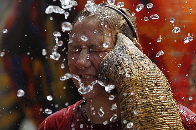 Слон брызгает водой на туриста во время праздника Сонгкран — тайского Нового года — в Аюттхае, Таиланд