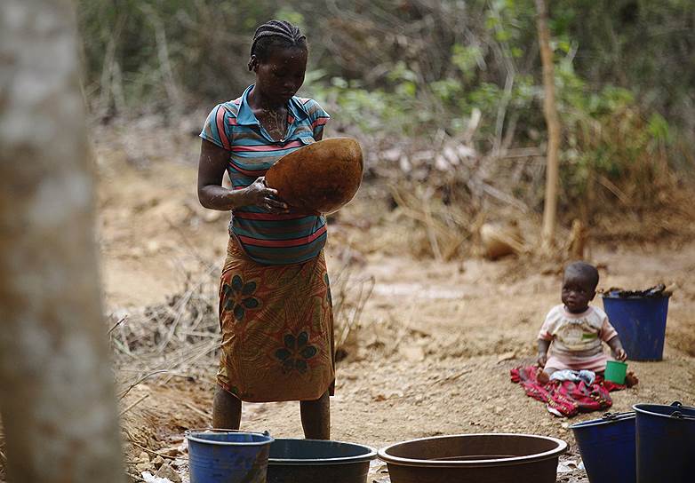 Добыча золота может уничтожить гектары кокосовых ферм, которые повсеместно вырубаются. Это может нанести ущерб всей мировой промышленности