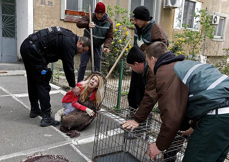 Женщина защищает свою собаку, пойманную собаколовами в Бухаресте. Власти города начали широкомасштабную кампанию по отлову бродячих собак, которых в столице Румынии насчитывается более 60 тысяч
