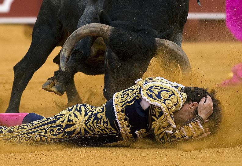 Испанский матадор Мануэль Эскрибано после неудачной попытки атаковать быка на арене в Севилье