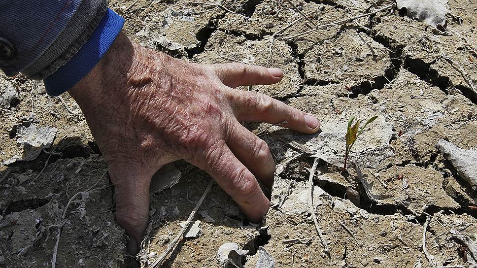 Потребители Крыма пока располагают запасами воды в водохранилищах (их всего 23). Но от объема орошения зависит урожай 2014 года