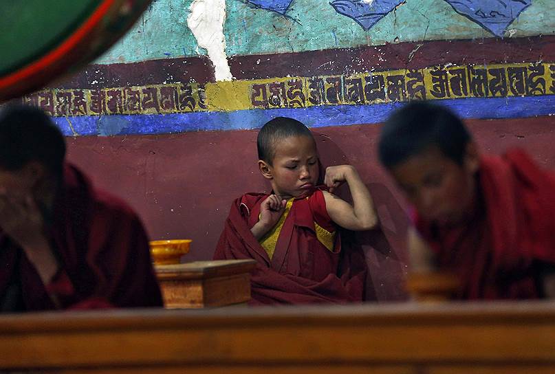 Юный буддистский монах во время утренней молитвы в монастыре в Ладахе, Индия