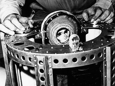 1949 год. Макак-резус Альберт II на борту ракеты V-2 поднялся на высоту 134 км. Это был первый суборбитальный полет выше границ атмосферы. Примат погиб из-за отказа парашютной системы